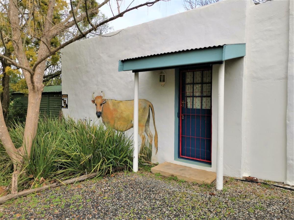 Studio Frangipani Solar Powered Hotel Greyton Exterior foto